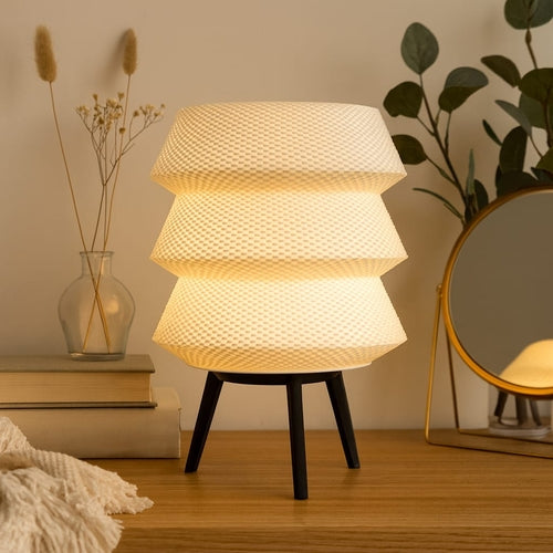 Dynasty Light Portable Table Lamp